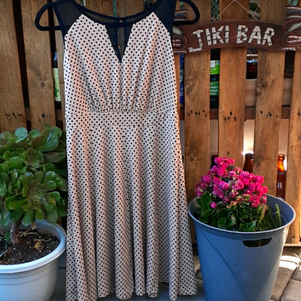 Women's Enfocus Size 8 Polka dot dress.